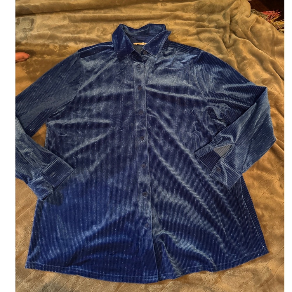 Soft Surroundings Blue Velvet Corduroy Metallic Pinstripe Button Down Shirt PL